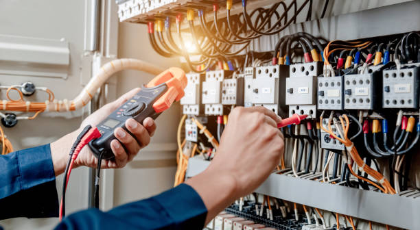 Best Electric Panel Repair  in Dagsboro, DE